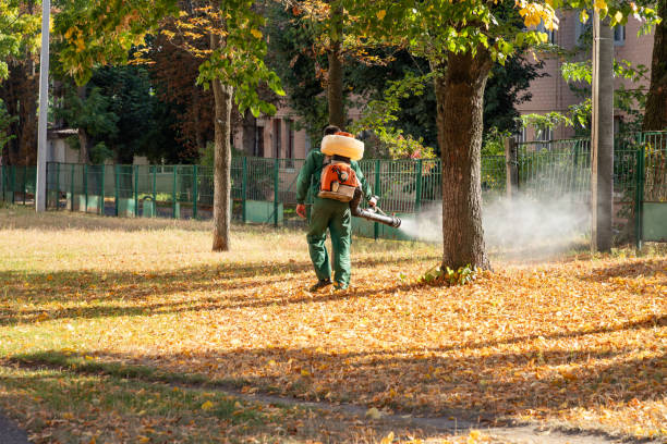 Best Commercial Pest Control Services  in Limesa, CA